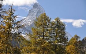 Zermatt Youth Hostel - Private Rooms